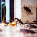 Avoid Pest And Damage: Why Commercial Exterminator Services Are Crucial For Replacement Windows And Doors In Las Vegas, NV