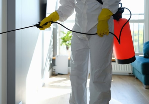 Prevent Mold Problems Later: Why You Need Mold Remediation Before Replacing Windows And Doors In Mt. Pleasant